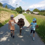thumbnail_Wandern mit Susi.jpg
